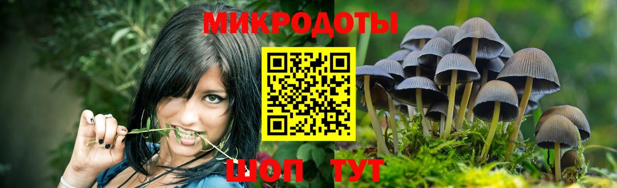 Шарыпово  Галлюциногенные грибы Psilocybine cubensis  Вход с VPN 