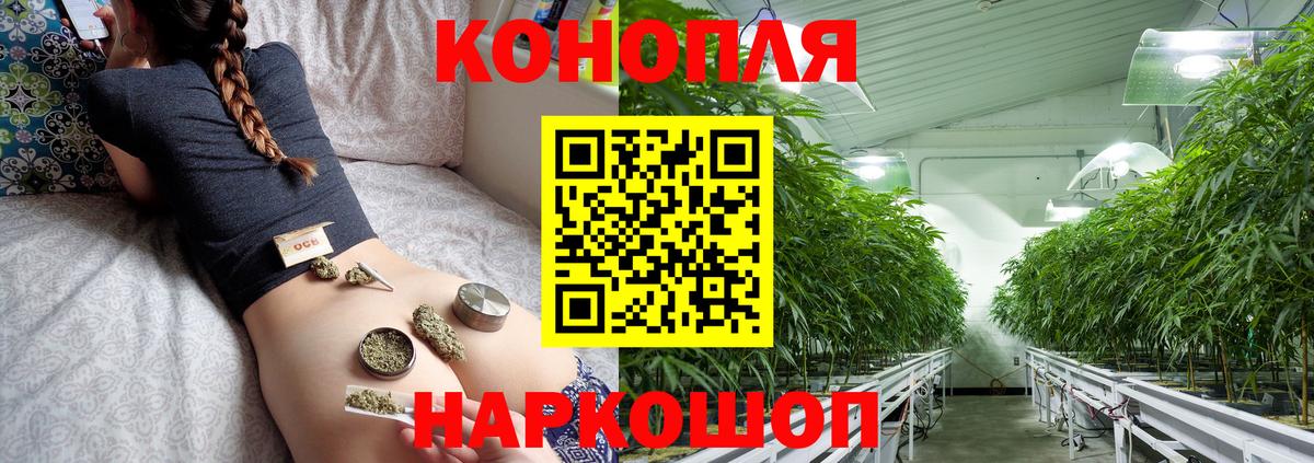 Шарыпово  Марихуана гибрид  Вход с VPN  Бошки Шишки планчик  Каннабис план 